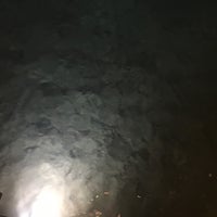 Kaktus Otel Golturkbuku Kaktus Apart Golturkbuku