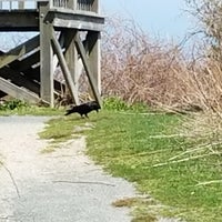 Photo taken at Sachuest Point National Wildlife Refuge by Rocky C. on 4/28/2018