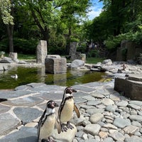 Photo taken at Pavilion of Penguins by Nikola B. on 5/29/2022