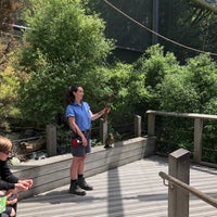 1/10/2021 tarihinde Muhammadziyaretçi tarafından Wellington Zoo'de çekilen fotoğraf