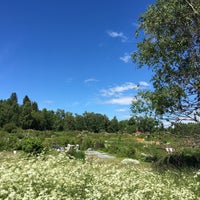 Photo taken at Puotilan uimaranta by Olga D. on 6/9/2018