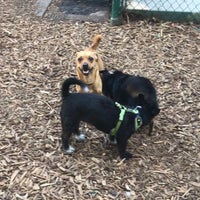 Photo taken at William S. Hart Park &amp;amp; Off-Leash Dog Park by Jackie H. on 8/9/2017