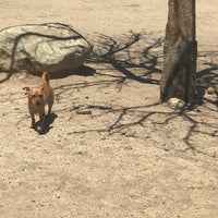 Photo taken at Laurel Canyon Dog Park by Jackie H. on 4/20/2018