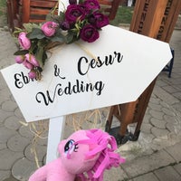 Ileri
