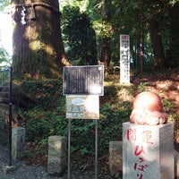 Photo taken at Takosugi (Octopus Cedar) by N K. on 6/17/2023