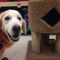 Photo taken at Pet Supplies Plus by GoldenWoofs S. on 12/24/2013
