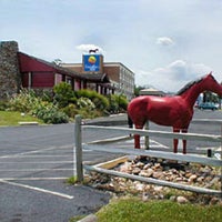 Comfort Inn Red Horse Hotel
