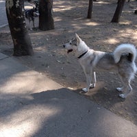 Photo taken at Parque y reunión de perros by Dany Bazán on 2/27/2014