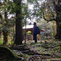 薬王院温泉寺 山代 144 Visitors 薬王院温泉寺 山代 144 Visitors