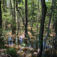 Photo taken at Dr. Wagner&amp;#39;s Honey Island Swamp Tour by Kati S. on 4/28/2019
