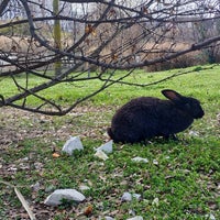 Photo taken at Орнитологический парк by Evgeniy A. on 3/16/2021