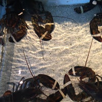 4/26/2015에 Deborah F.님이 Red Lobster에서 찍은 사진