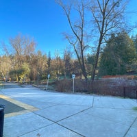 Photo taken at Washington Park Arboretum Hollies by Vince R. on 2/12/2022