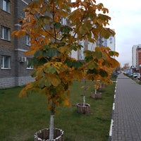 Photo taken at Набережная Свияги by Nick G. on 10/21/2017