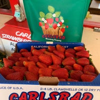 Photo taken at U-Pick Carlsbad Strawberry Co. by Jose M. on 4/22/2022