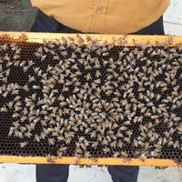 Foto scattata a Big Bee Farm (Bangkok) da Elfan W. il 8/16/2023