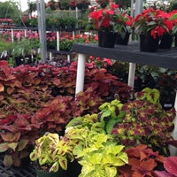 Lurvey Landscape Supply Garden Center Des Plaines Il