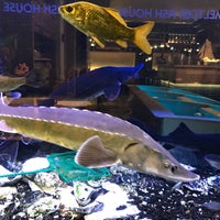 10/31/2016에 Irakly L.님이 Meltcer Fish House에서 찍은 사진