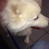 vca southgate animal hospital