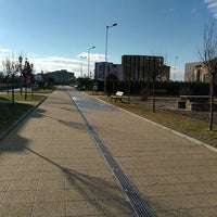 Parcul Central Park In Baia Mare