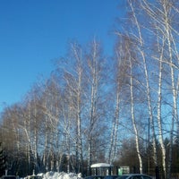 Photo taken at Ульяновский дендропарк by Elena T. on 1/20/2015