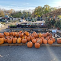 10/29/2019 tarihinde Mark C.ziyaretçi tarafından Sunnyside Gardens'de çekilen fotoğraf