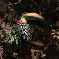 Photo taken at Rainforest Cafe by Mark C. on 1/29/2019