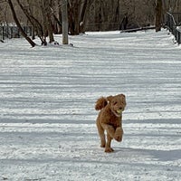 Photo taken at Lake of the Isles Off - Leash Recreation Area by Mark C. on 2/4/2022