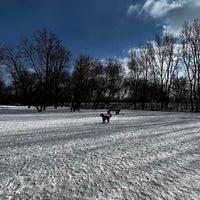 Photo taken at Lake of the Isles Off - Leash Recreation Area by Mark C. on 2/4/2022