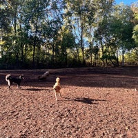 Photo taken at Lake of the Isles Off - Leash Recreation Area by Mark C. on 10/18/2021