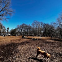 Photo taken at Lake of the Isles Off - Leash Recreation Area by Mark C. on 4/16/2022
