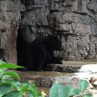 Photo taken at Grizzly Bear (zoo) by Amanda Z. on 10/13/2012