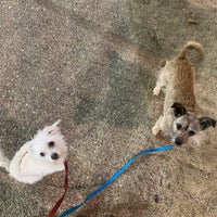 Las Palmas Park Hyde Park Dr