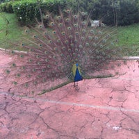 Photo taken at Centro Universitário Ítalo Brasileiro (UniÍtalo) by Daniel R. on 10/24/2015