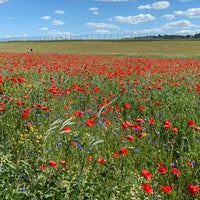 Photo taken at Stauseebad Cossebaude by Jörg S. on 6/1/2020