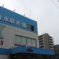かねだい 草加店 Pet Store