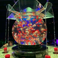 Photo taken at Art Aquarium by fuminatsu on 9/21/2019