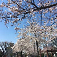 Photo taken at 亀戸東公園 by Junichi H. on 4/4/2019