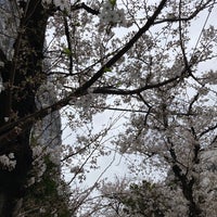 Photo taken at Kameido Ryokudo Park by Junichi H. on 3/25/2021