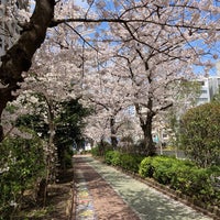 Photo taken at Kameido Ryokudo Park by Junichi H. on 3/30/2022