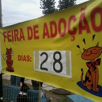 Clinica dog gato Outlet