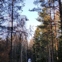 Photo taken at Paloheinän metsä by Daphne on 3/2/2022