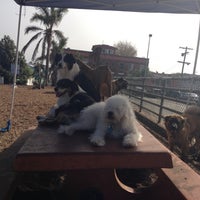 Photo taken at Westminster Dog Park by Agata on 10/29/2012