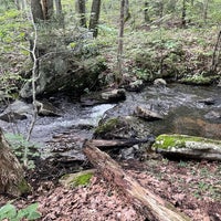 Photo taken at Beartown State Forest by Todd V. on 8/26/2021