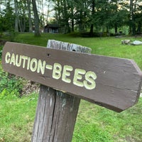 Photo taken at Beartown State Forest by Todd V. on 8/27/2021