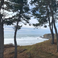Photo taken at Año Nuevo State Park by xina on 1/19/2020