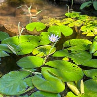 Photo taken at Botanical Garden of São Paulo by Thiago G. on 5/14/2023