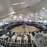 7/12/2023 tarihinde Abbey P.ziyaretçi tarafından Fair Oaks Farms'de çekilen fotoğraf