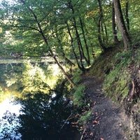 Photo taken at Yedigöller Milli Parkı by Erdal B. on 9/29/2019