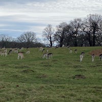 Photo taken at Richmond Park by Abdulkareem on 2/15/2024